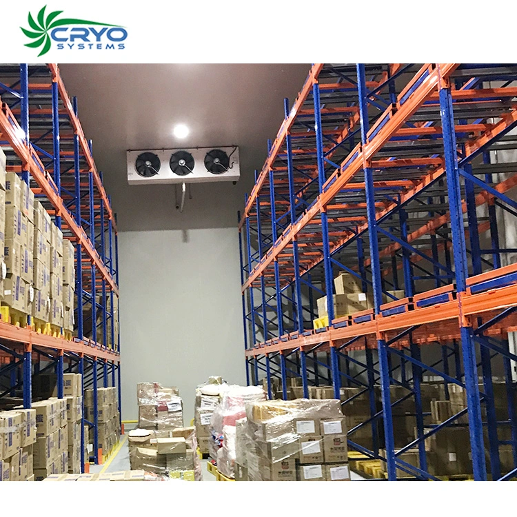 Customized Design Cold Storage Freezer Room in Food Processing, Farms, Warehouse