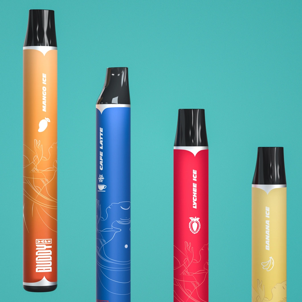 2022 High Quality 1000puffs Wholesale Electronic Cigarette Mini Disposable for Nicotine Salt Disposable Vape Pen Electronic Cigarette
