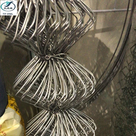 Venta de toda la cadena de acero inoxidable y galvanizado de malla de alambre Cercado