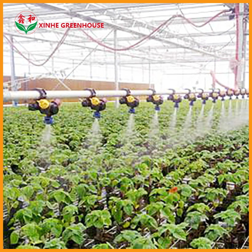 Agricultural Full Automatic Water Fertilizer Integration Irrigation Hydroponic Equipment