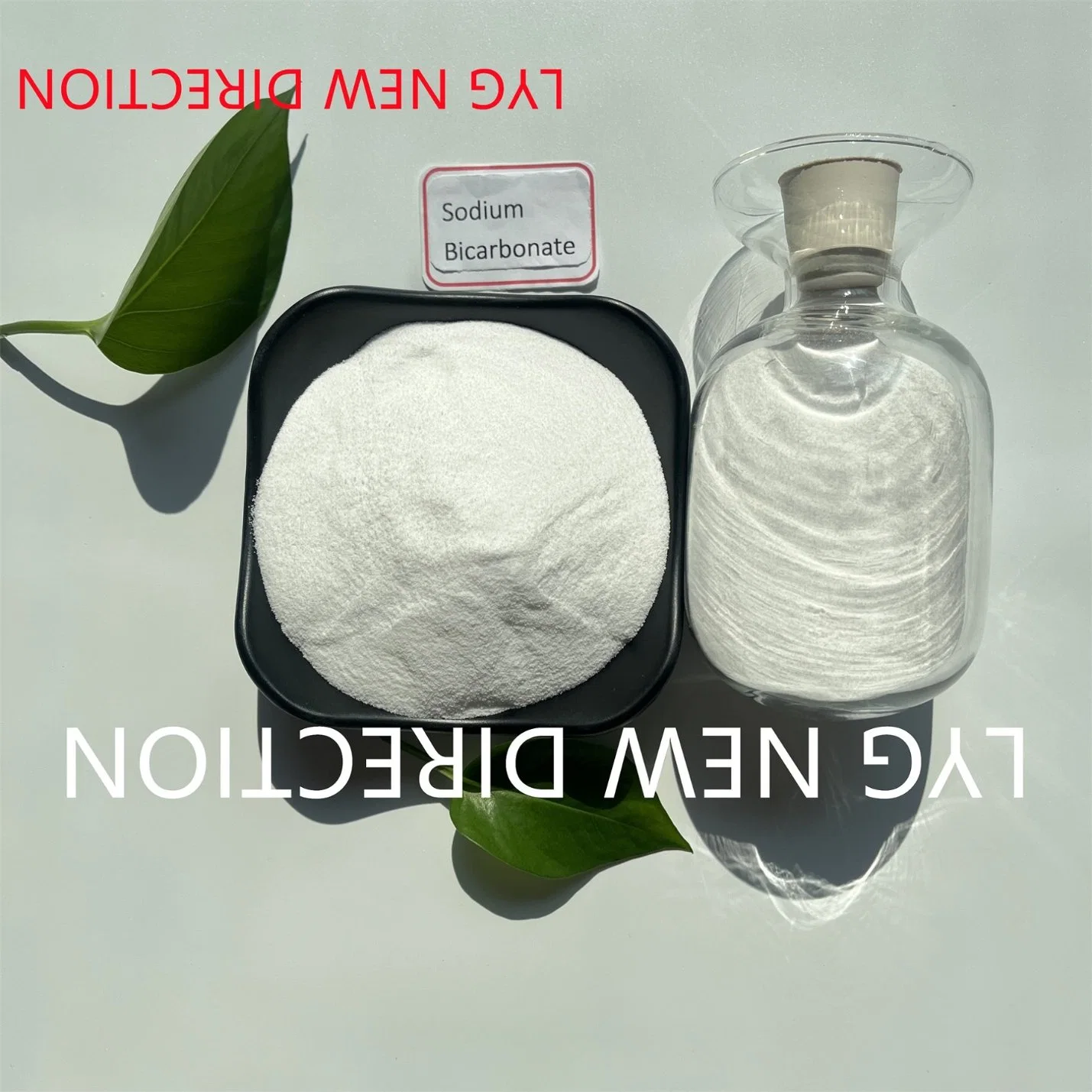 Lebensmitteltaugliches Natriumhydrogencarbonat CAS: 144-5-8