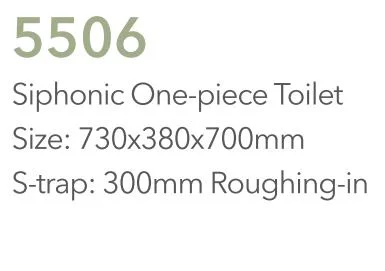 Sanitärkeramik Siphon Spülen Wasser Schrank Ein Stück Toilette (Hz5506)