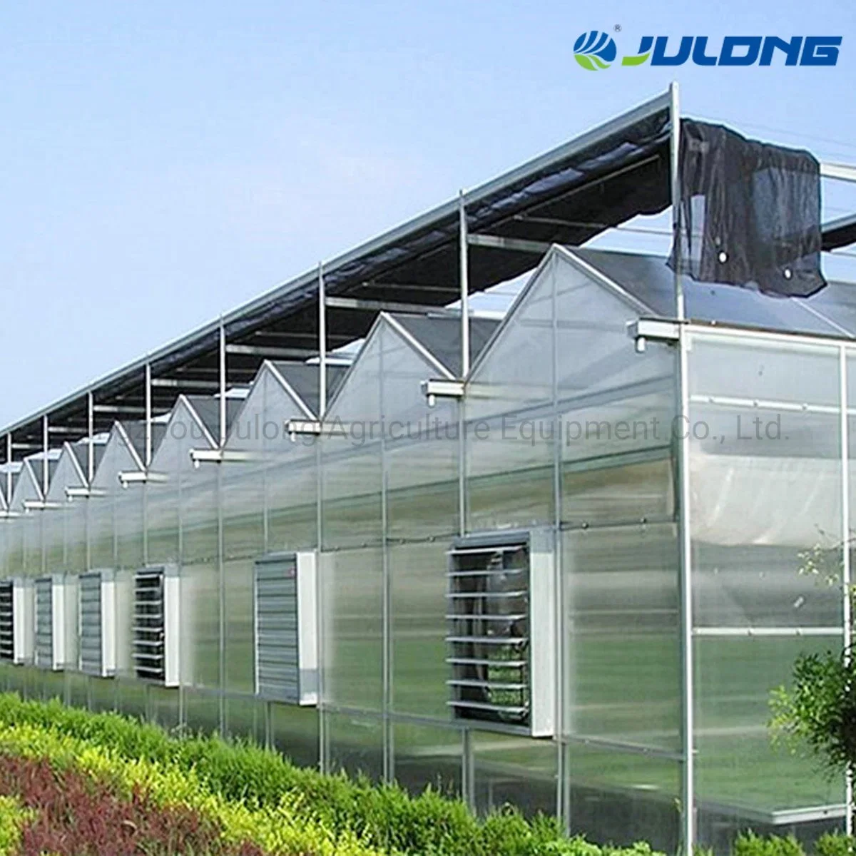 Commercial Modern Intelligent Control Multi Span Venlo Type Nft Hydroponics System Polycarbonate Greenouse for Sale
