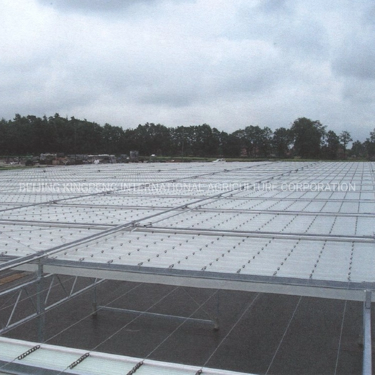 Venlo Type PC Polycarbonate Sheet Hydroponics Greenhouse