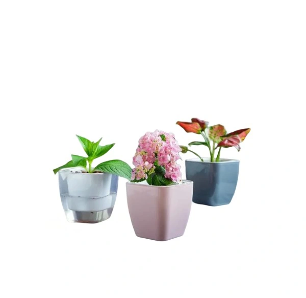 Self Watering Plant Pot Garden Automatic Water Self-Watering Planter Small Plastic Flower Pot OEM ODM