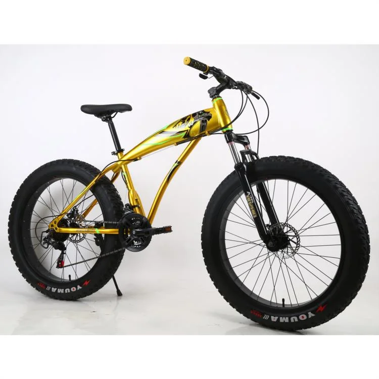 2022 Hot Selling Chinese OEM ODM Manufacturer Sports Mountain Fat Tire Mountain Bike