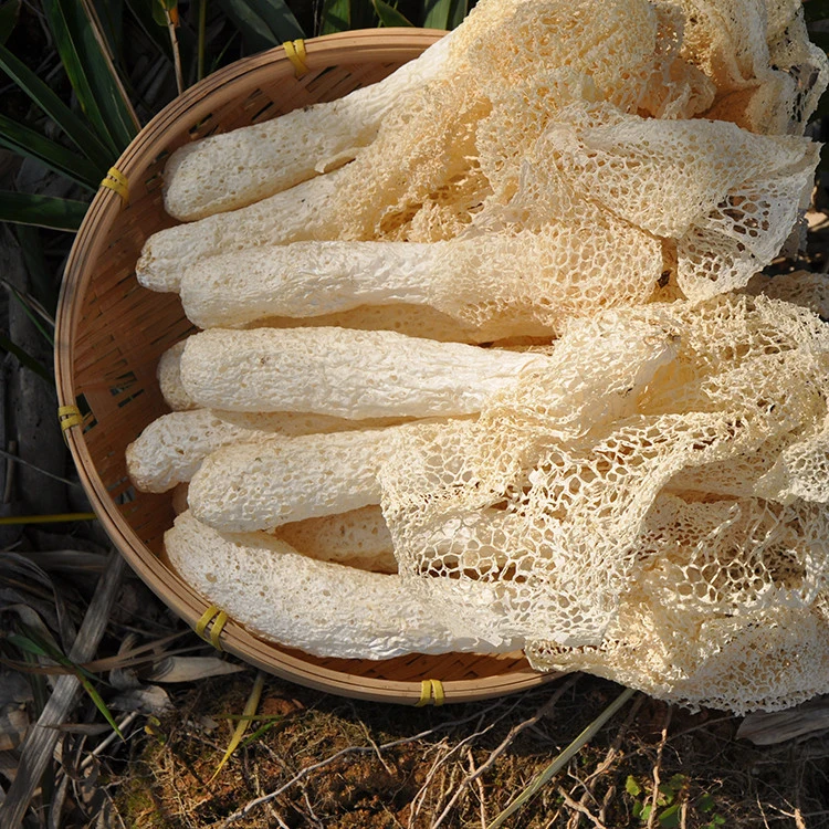 Champignon de bambou séché Mushroom Dictyophora indusiata Chu-Sheng