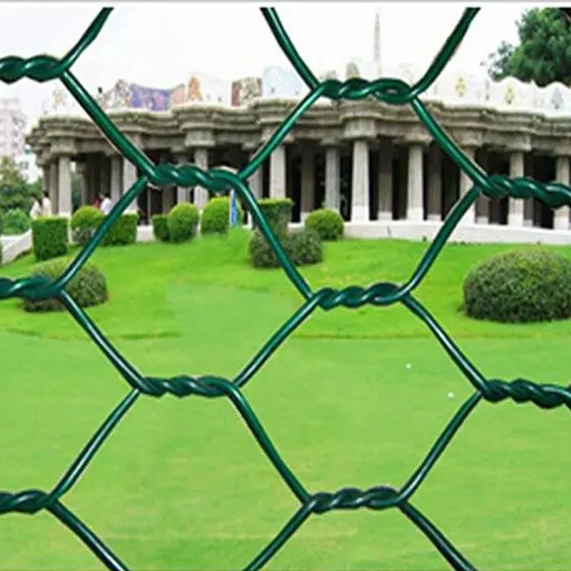 Competition Price China Manufacturer Supply Iron Wire Mesh PVC Coated or Galvanized Hexagonal Wire Mesh