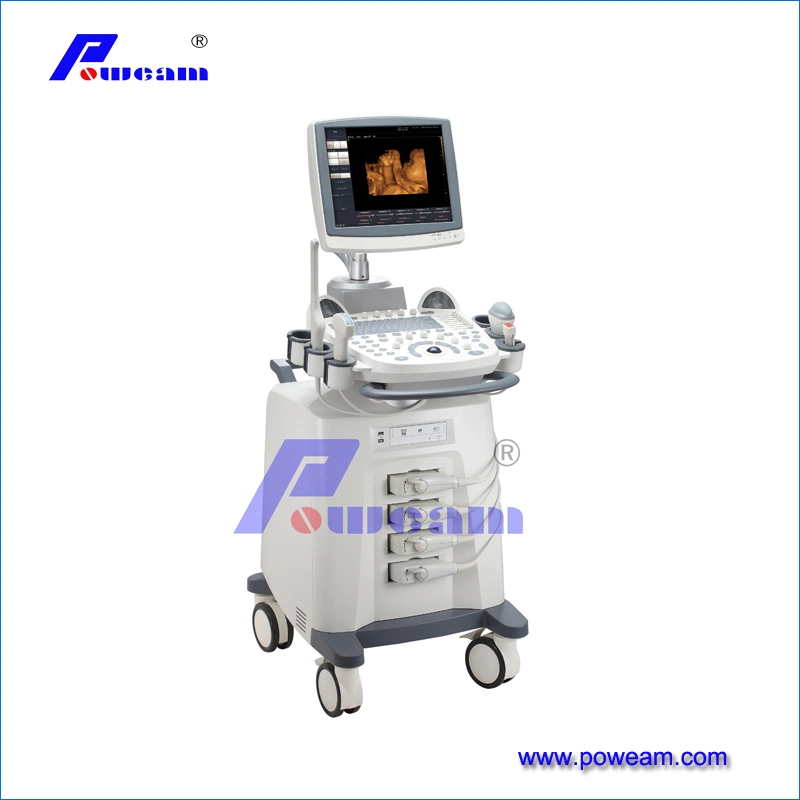 3D Portable Color Doppler Ultrasound Machine Price