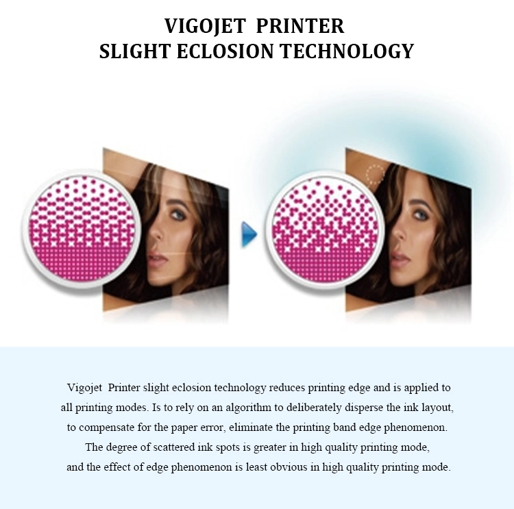 Vigojet Large Format Solvent Printer Sk-4 Solvent Magnetic Printing Ink