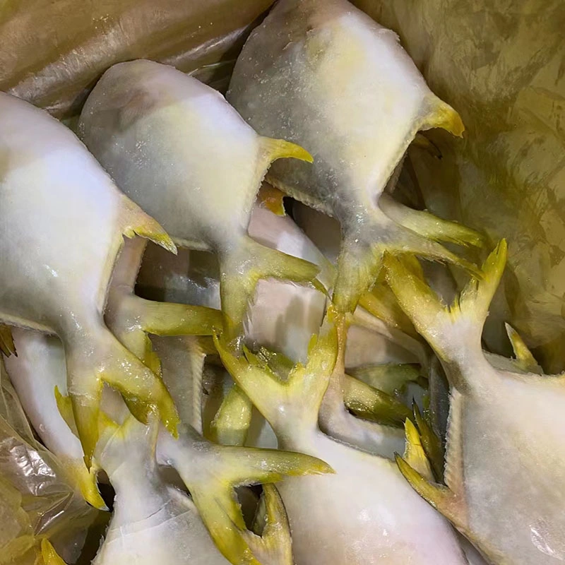 Gefrorene Meeresfrüchte Ganze Runde Fisch Aquatic Golden Pomfret Pompano