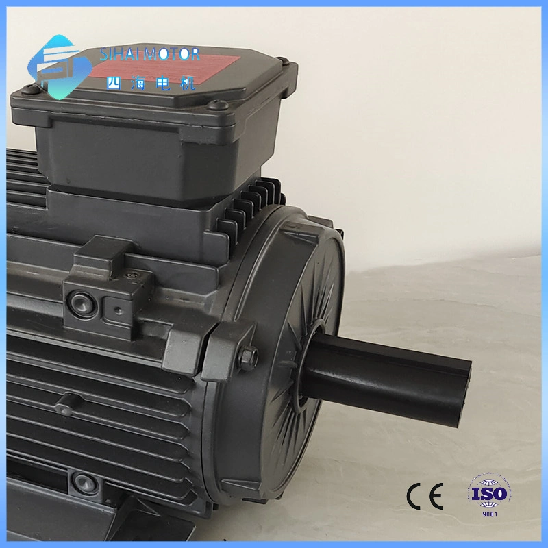 Le2/Le3 Efficiency 1.5HP 1.1kw Cast Iron AC Electric Three Phase Motor