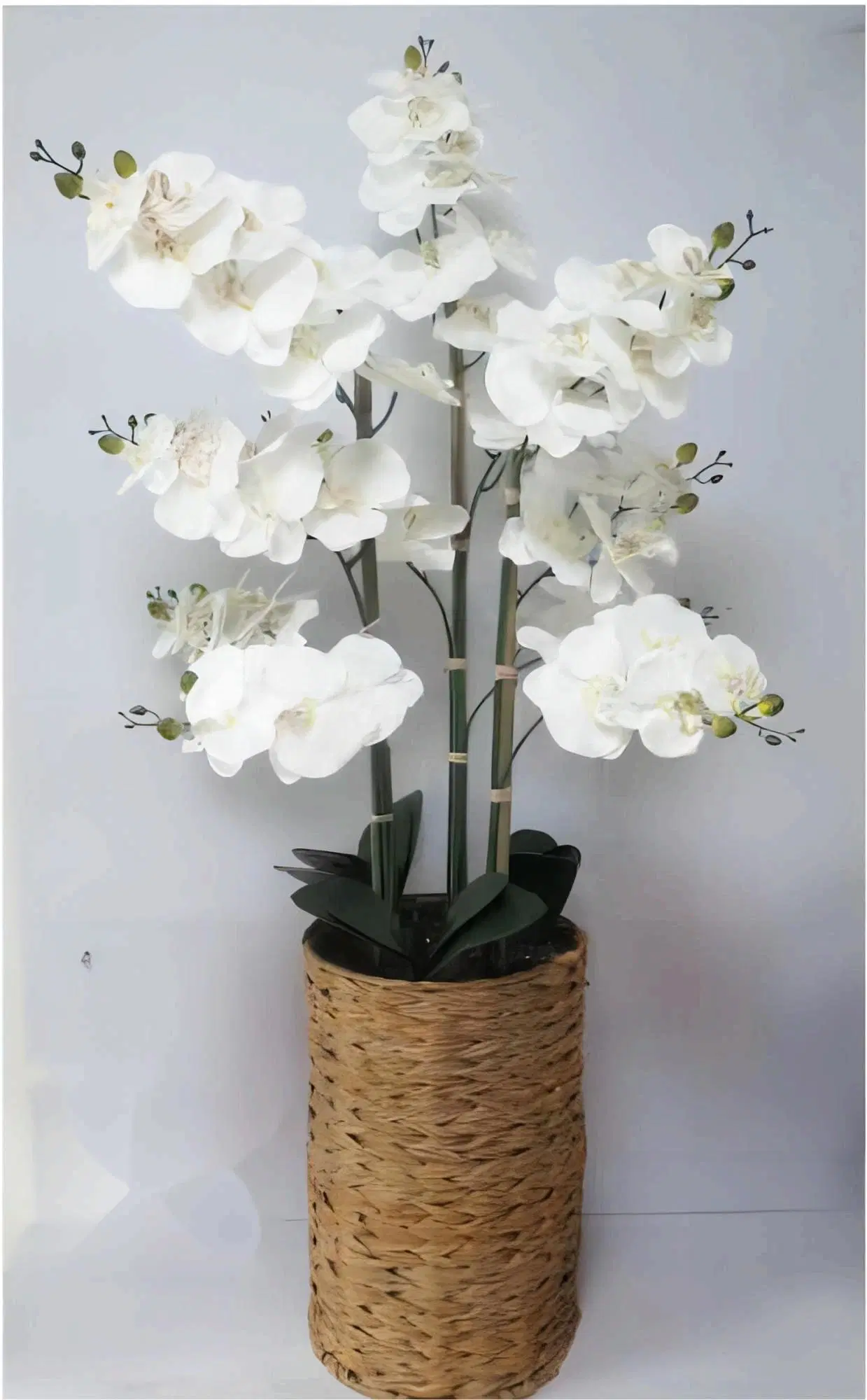 OEM Factory Customized Wholesale/Supplier Artificial Flower Home Decor Artificial Orchid Flower Artificial Plastic Orchids Artificial Bonsai Orchid Manufacturer in China