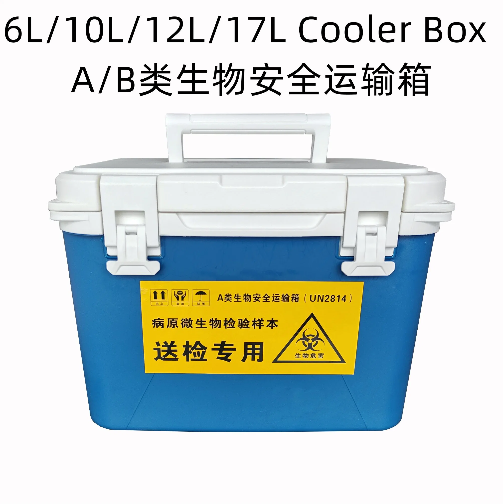 10L Ice Chest Can Cola Insulated Cooler Beer Cooler Box for Outdoor Portable Cooler Box