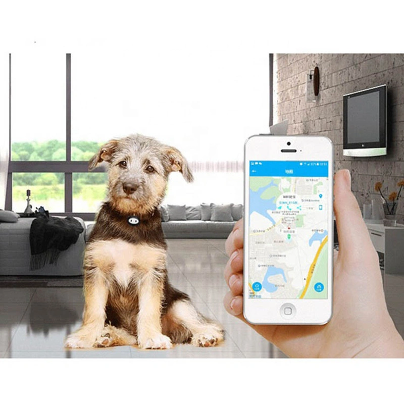 Tracker Dog Trainer Alarm Traction GPS Real-Time Pet Locator