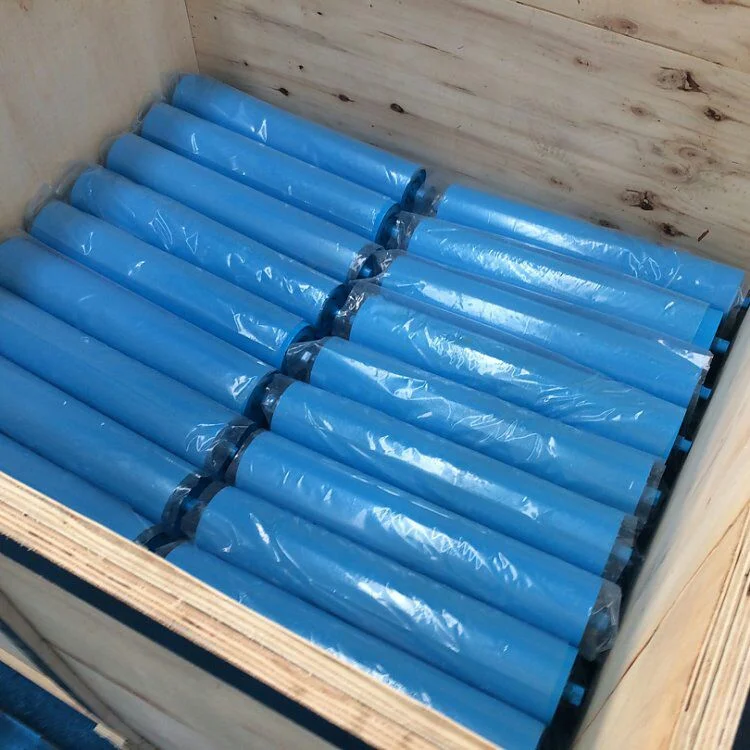 Factory Supply Paint Guide Roller for Conveyor