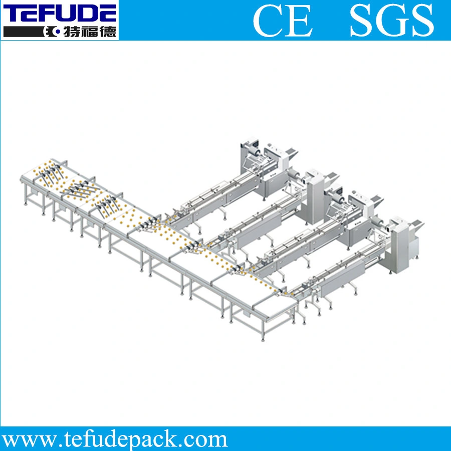 Side Feed Automatic Packaging System