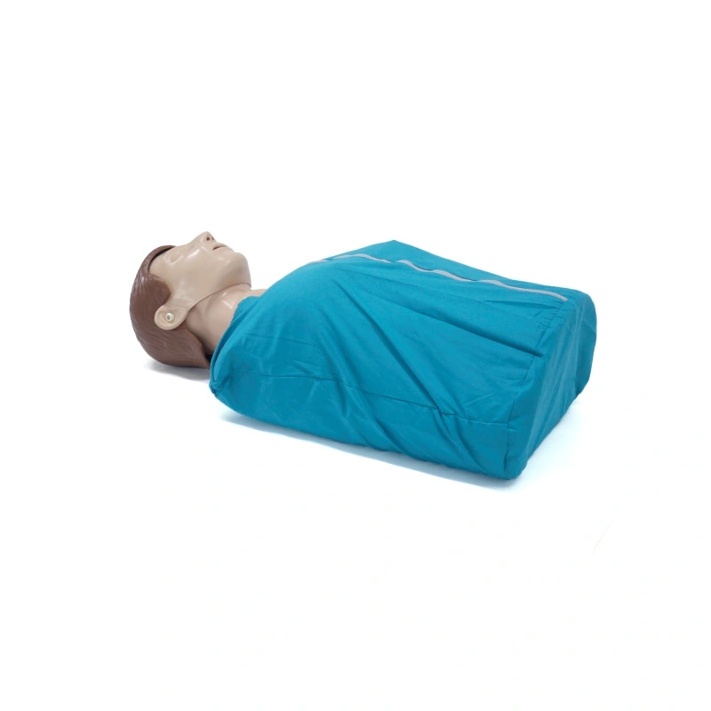 Wholesale/Supplier Half Body CPR Training Manikins Medical CPR Dummy Simple for CPR Practice