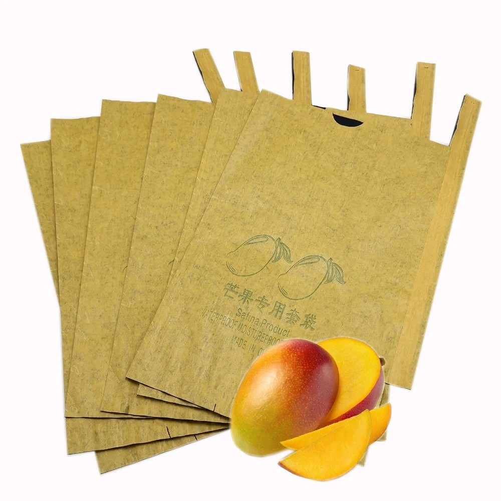 Vente en gros fruits personnalisés croissance simple / double couche imperméable anti-insecte Housse de protection sac Mango fruit protection sac