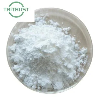 Top Quality Nootropics Nutrition Phenylpiracetam Powder Phenylpiracetam CAS 77472-70-9