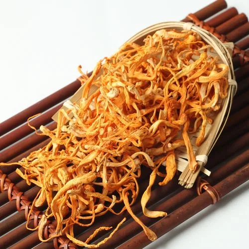 Premium Dried Medicinal Cordyceps Healthy Mushroom