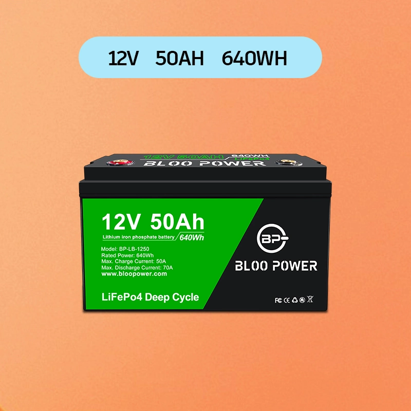 Bloo Power 12V 24V 36V 48V 50ah Sealed Rechargeable for Electric Car Sightseeing Aerial Work Vehicle Lithium Battery