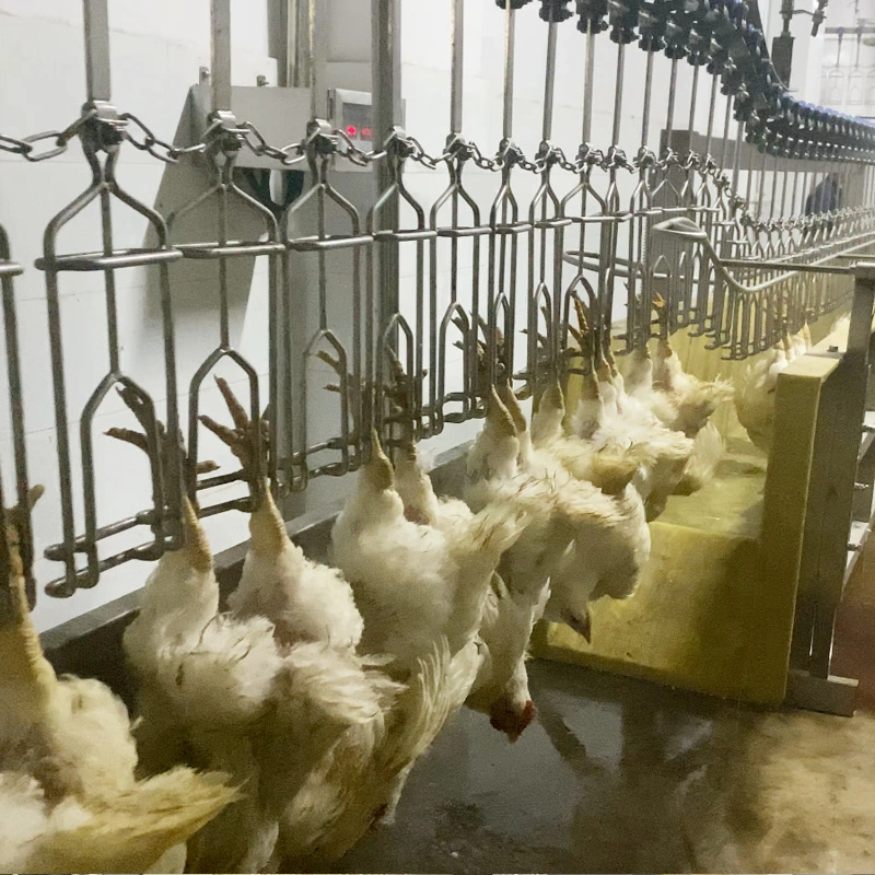 Factory Price Poultry Chicken Slaughter Equipment for Abattoir Butcher