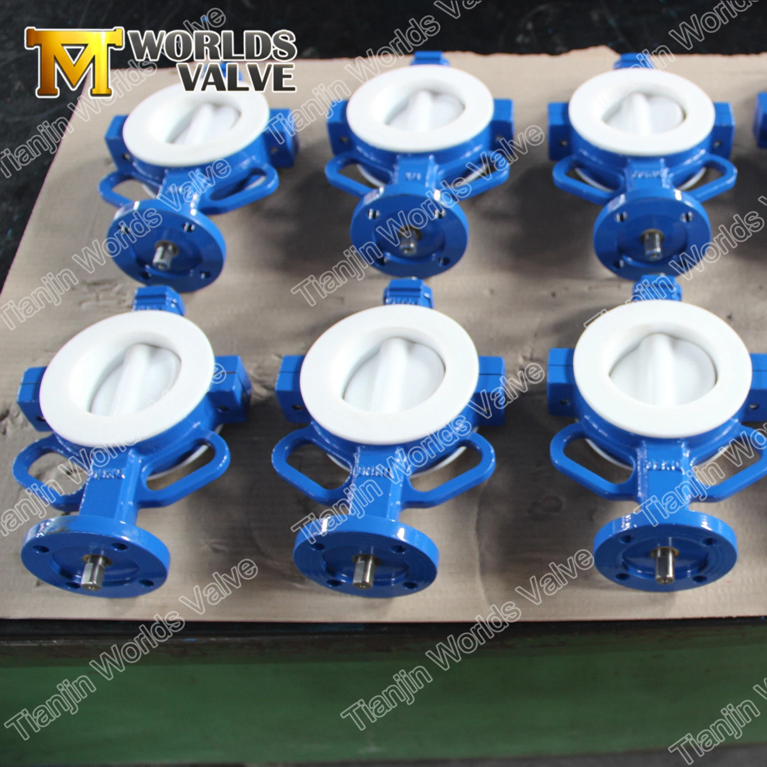 Full PFA PTFE Coating Food Grade Wafer Type Butterfly Valve with Ce ISO FDA Approved
