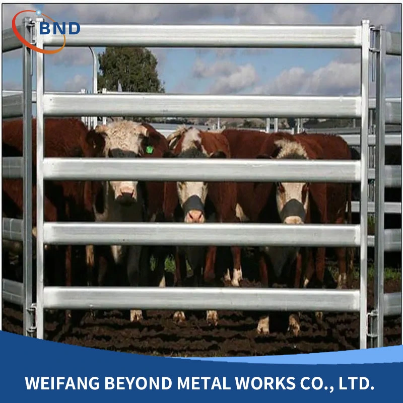 Galvanized Metal Welded Livestock Fencing Panels