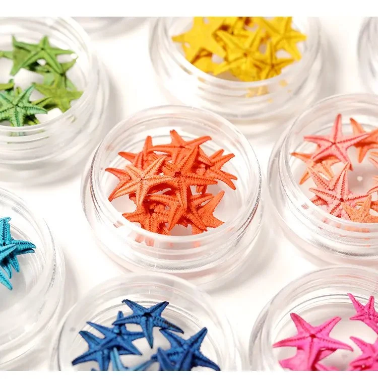 Summer Beach Nature Starfish Nail Art Sea Star Mini Small Sea Star Nail Art Decoration