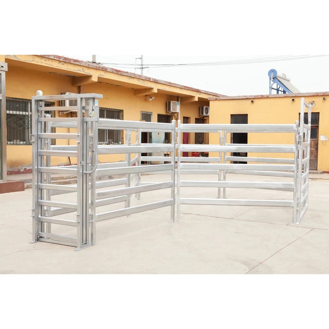 Quality Steel Livestock Corral Fence Cattle Yard Farm Fence Farm Equipment (XMM-FQ)