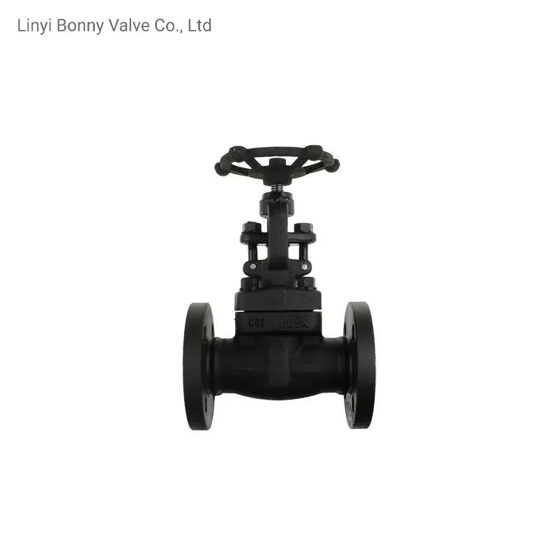 Acier forgé F316L 300lb Globe valve en acier inoxydable à embase