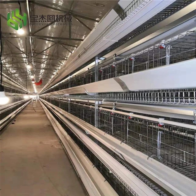 Hot Sale High quality/High cost performance  One-Stop Service Automatic Hens Layer Cage Feeding Equipment for Poultry Farms