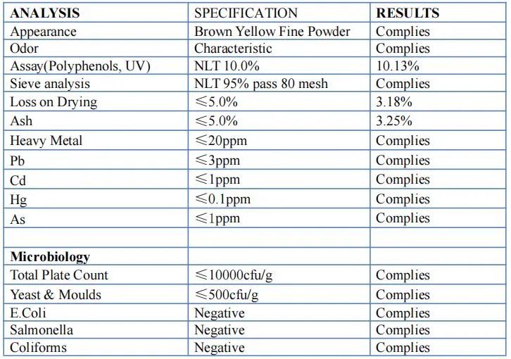 Echinacea Extract Powder with 10% Polyphenols