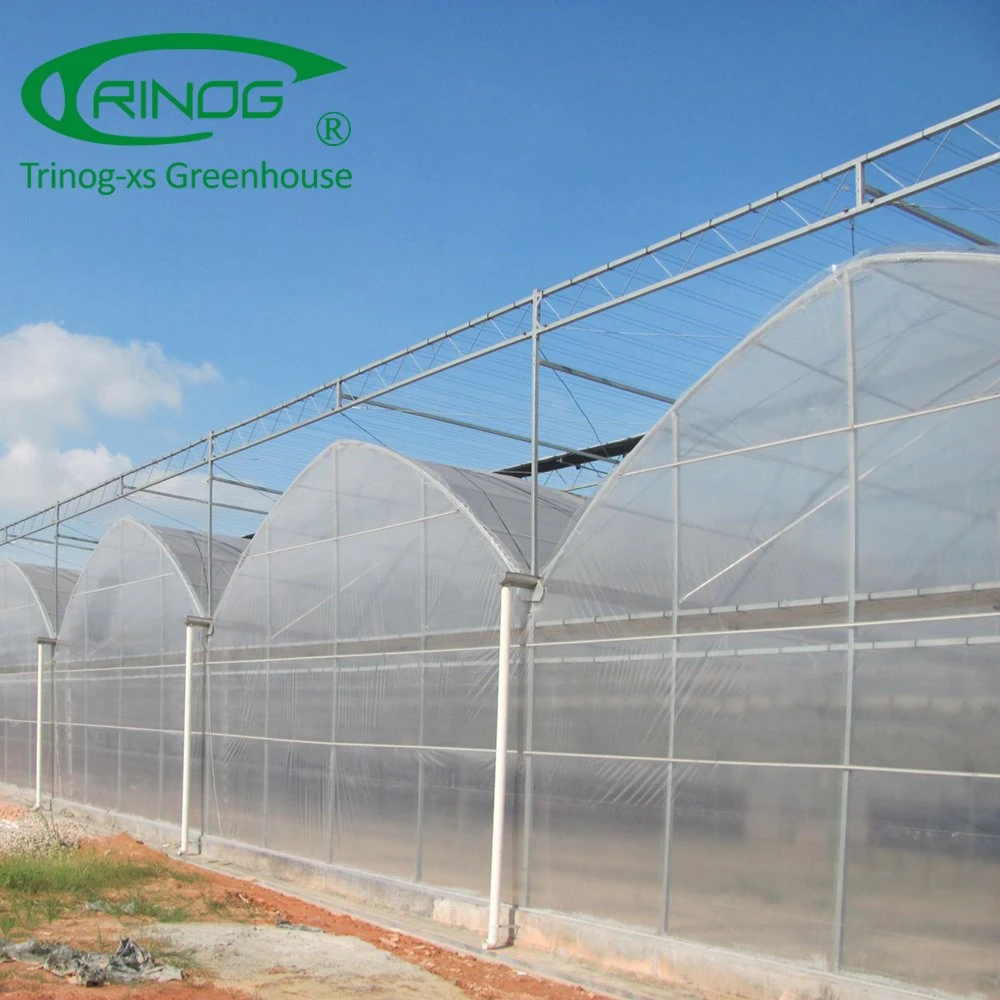 Trinog Greenhouse multispan net seeding bench plastic film Greenhouse for propagation