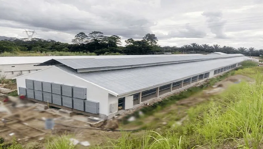 Poulet Coop en acier préfabriqué bon marché et durable