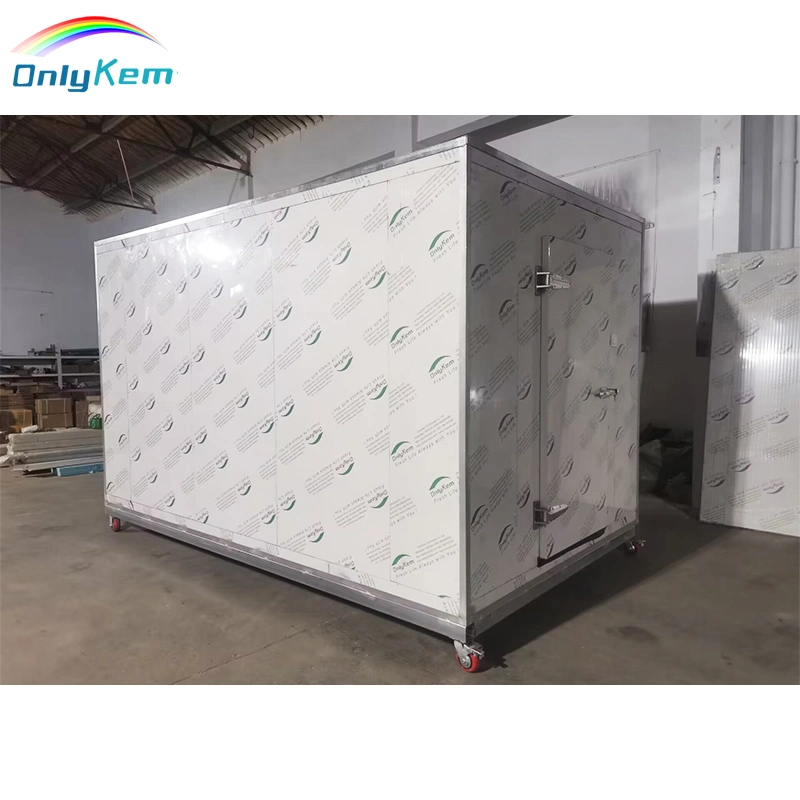 Cold Storage Room for Fish Meat Vegetable, Ice Store