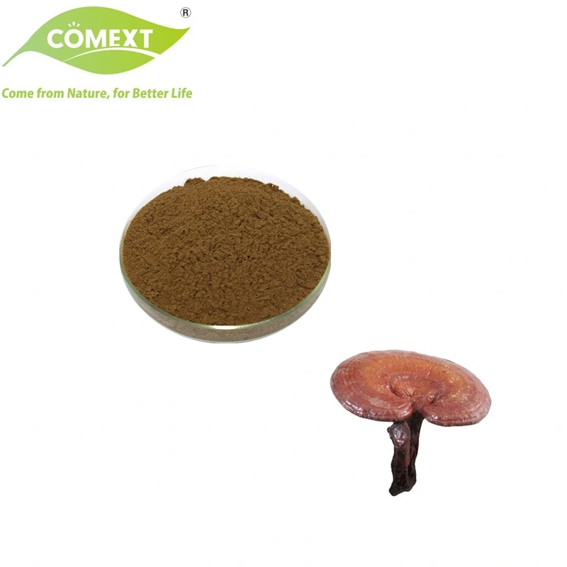 Comext Free Smple Factory Direct Organic Reishi Mushroom Extract Deep Brown Powder for Healthcare Supplment