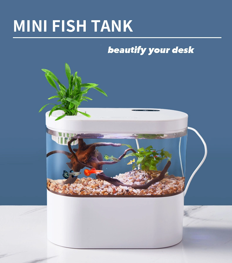 Aquarium Fish Tank with Bottom Filter for Office Tables