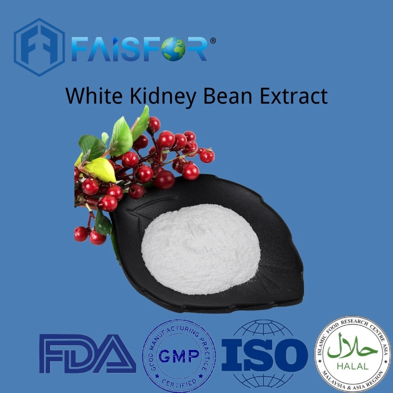 Aditivo alimentar extrato herbal White RIM Bean Extract Health Food Produto