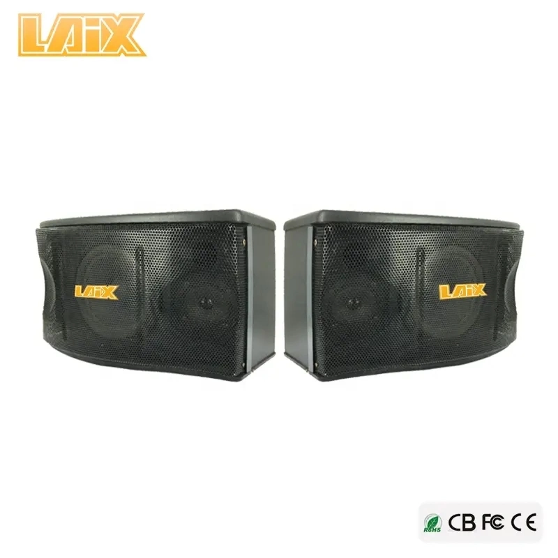 120W 10 Inch Black Karaoke Wall Speaker for Conference and KTV