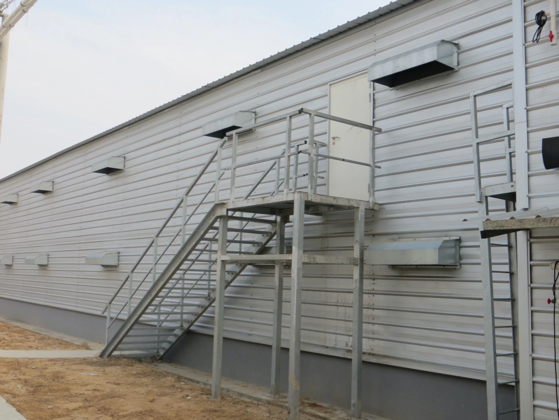 Envirnoment Controlled Steel Structure Poultry House Building