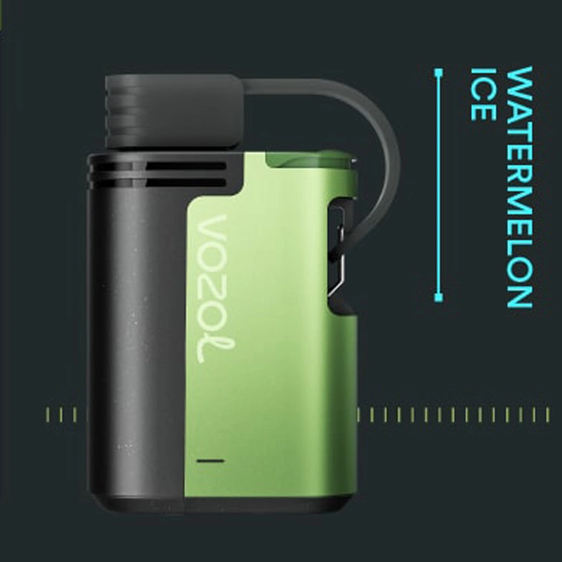 Vozo L Gear 4000/6000 Puffeimer Zbood OEM ODM Türkei Watermelon Star Packman 0% Nikotin Vinnuvape Crave Vaporizer Einweg-Vape