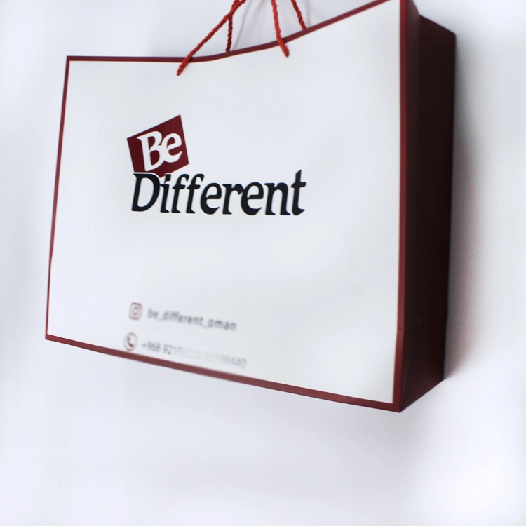 Clothes Paper Packaging Bag with Your Own Logo for Small Business