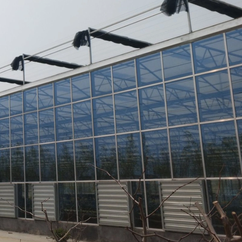 Agriculture Glass Greenhouse for Flower Planting