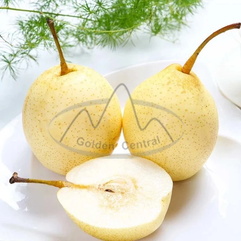 Fresh Hot on Sale Chinese Fruit A Grade Yellow Ya Pear