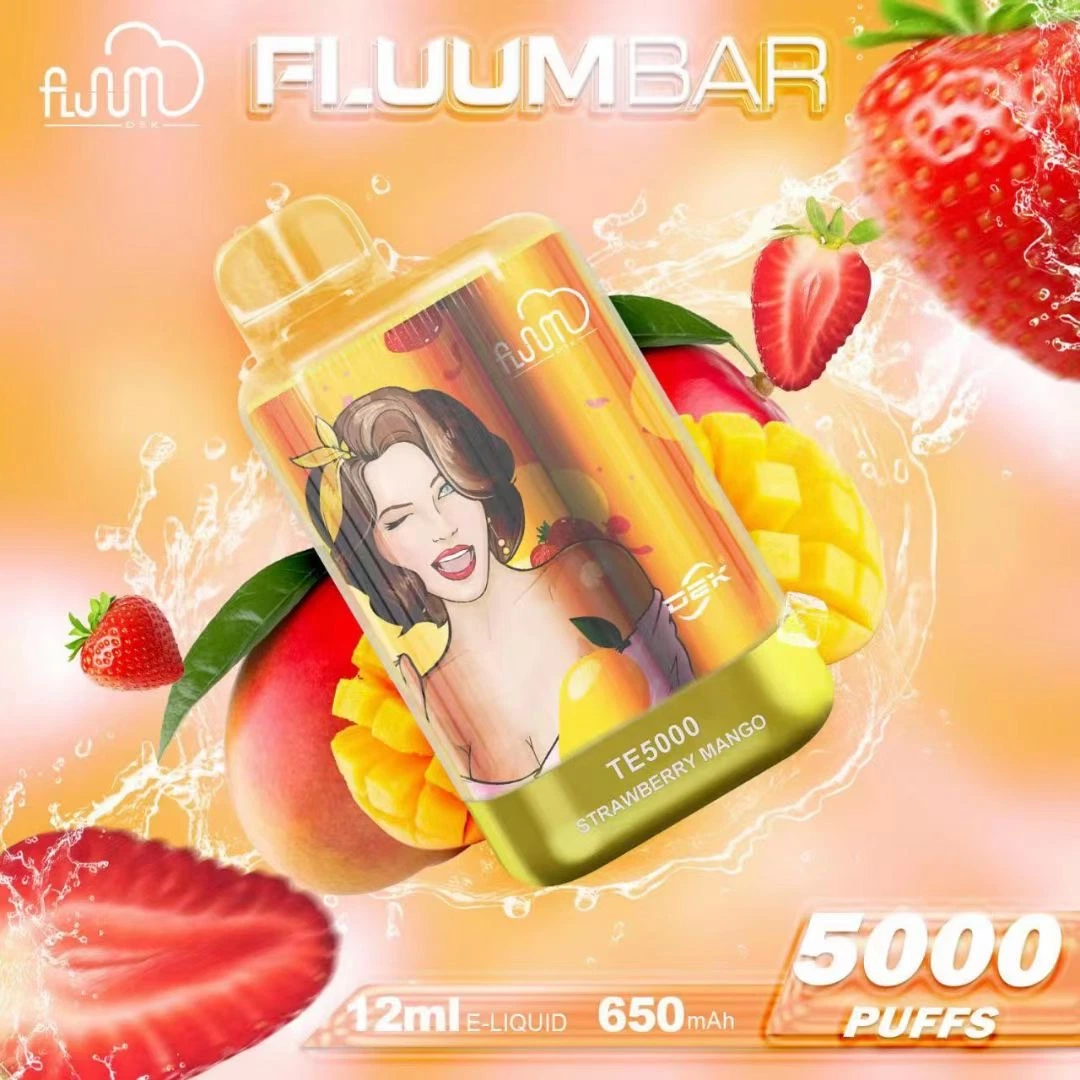 2023 Nuevo Fluum Popular Te5000 Puff Bar 0%/2%/5% nicotina desechable VAPE recargable E-cigarrillo perdido humo VAPE