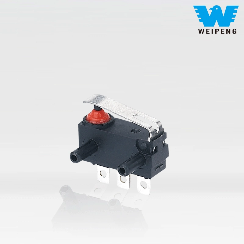 Fsk-20-T Waterproof Momentary Micro Switch 0.1A 125/250V 3A 12VDC