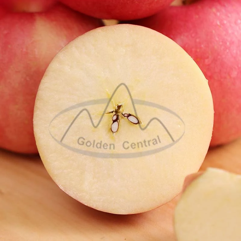 Customized Brand Star Apple From China 100% Natural Sweet Taste