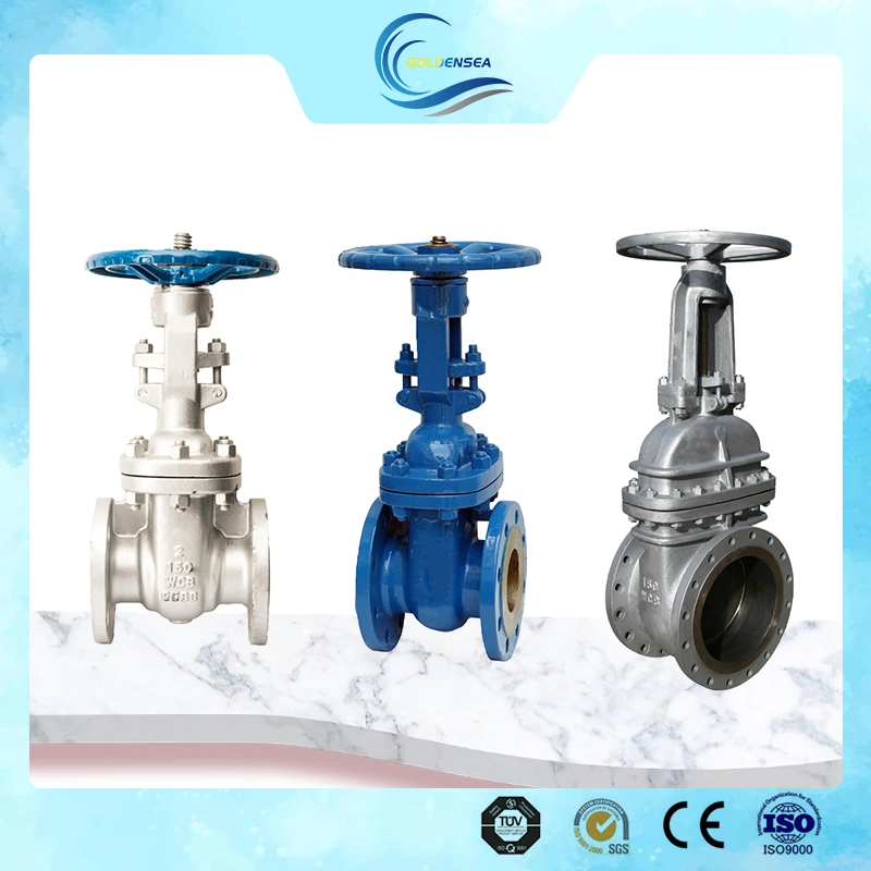 Manufacturers Gate Valve Pn16 Carbon Steel Casting and Body Price